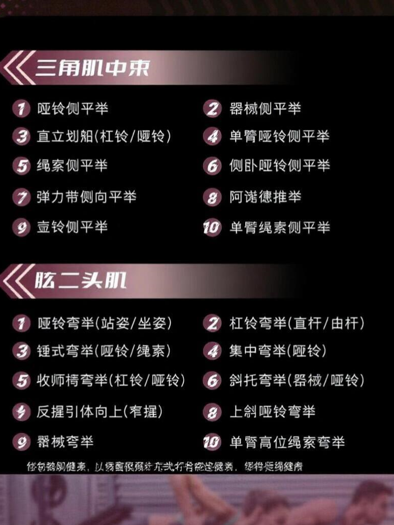 肱二头肌 肱二头肌